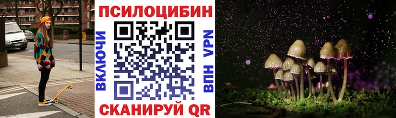 Псилоцибиновые грибы MAGIC MUSHROOMS  Гудермес 