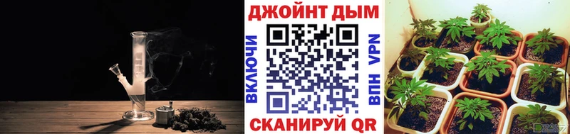 Марихуана Amnesia  даркнет сайт  Гудермес 